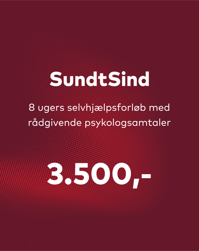 SundtSind3500DKK.jpg